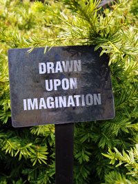 drawn upon imagination