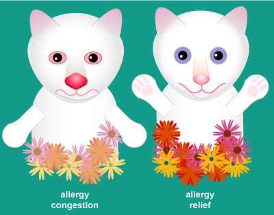 allergy kitten puppet